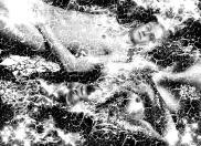 IMG_0550frozen.jpg