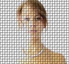 _MG_3109b_enges_geflecht_web.jpg