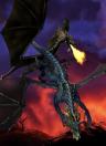 drachenangriff600_800x1100.jpg