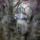 mystische_landschaft2.jpg